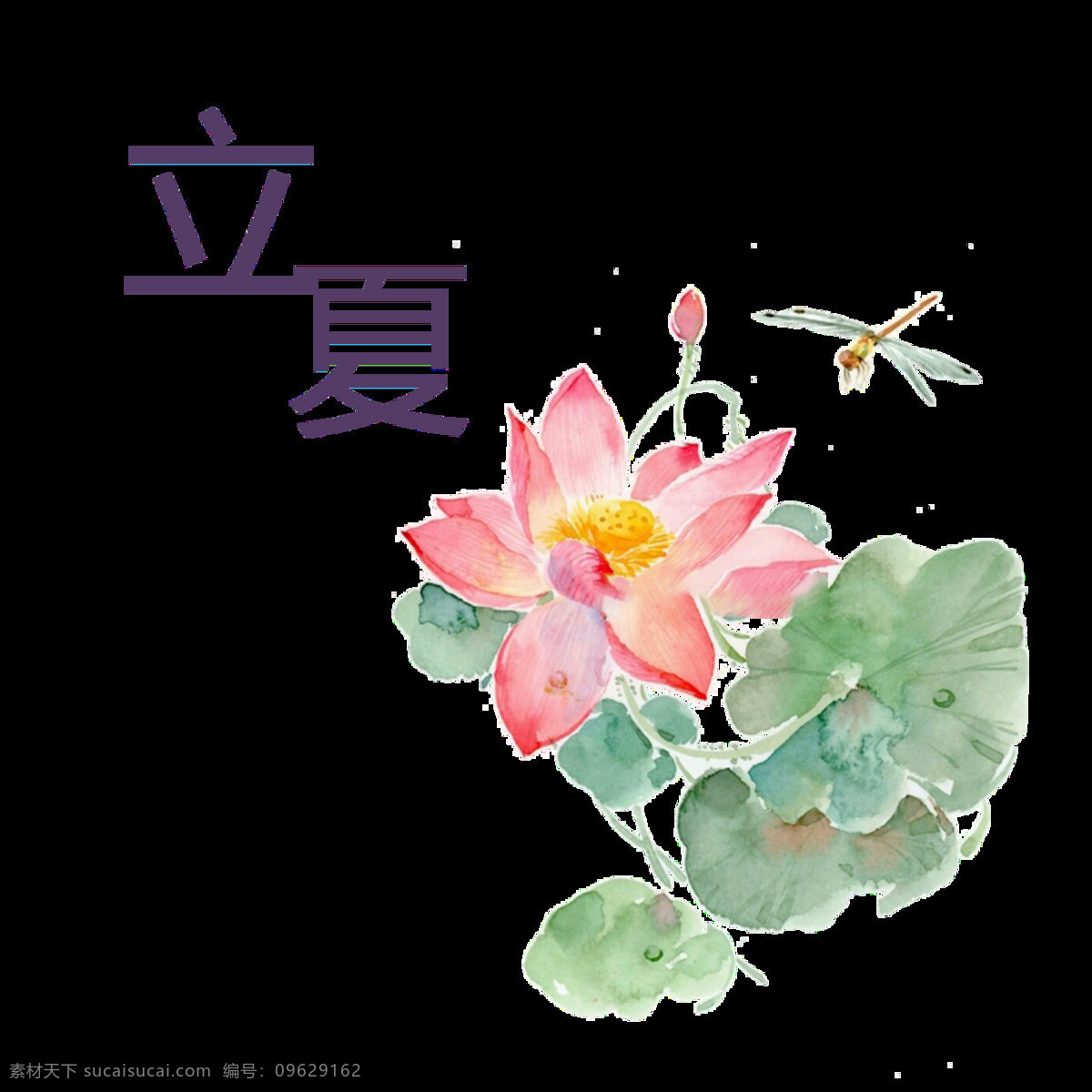 温柔 画风 荷花 立夏 节气 元素 荷叶 节日元素 二十四节气 蜻蜓 蓝紫色汉字 节气元素
