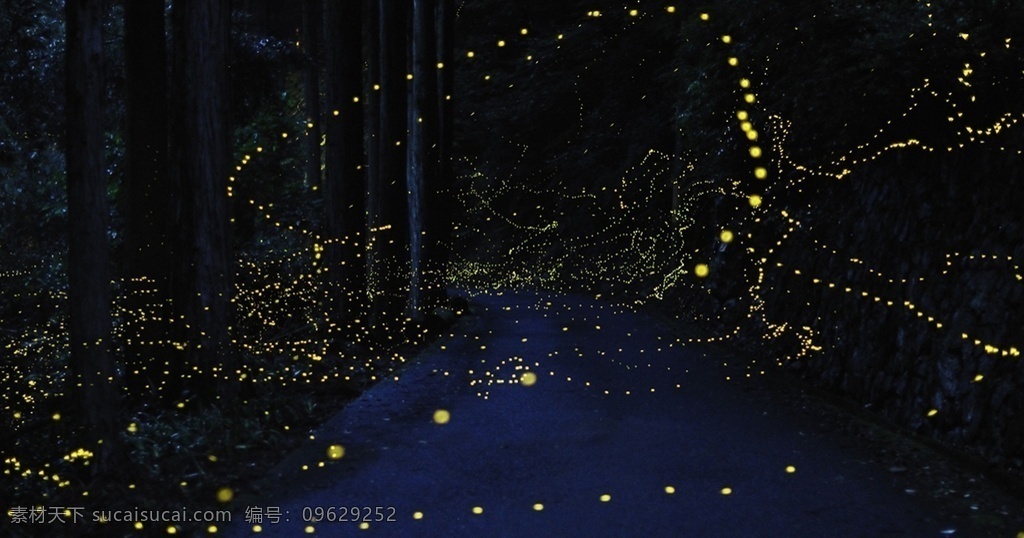 萤火虫夜景 背景元素 光效镜头 光线光晕 夜空 素材集合 背景素材 镜头光晕 镜头素材 炫光背景 光线 光晕 镜头 背景蓝色 光效背景 黄色光斑 光线背景 光效光线 萤火虫光 免费素材 夜景 光斑 萤火虫 唯美背景 唯美素材 背景光斑 背景唯美 光斑背景 素材背景 萤火虫背景 卡通设计