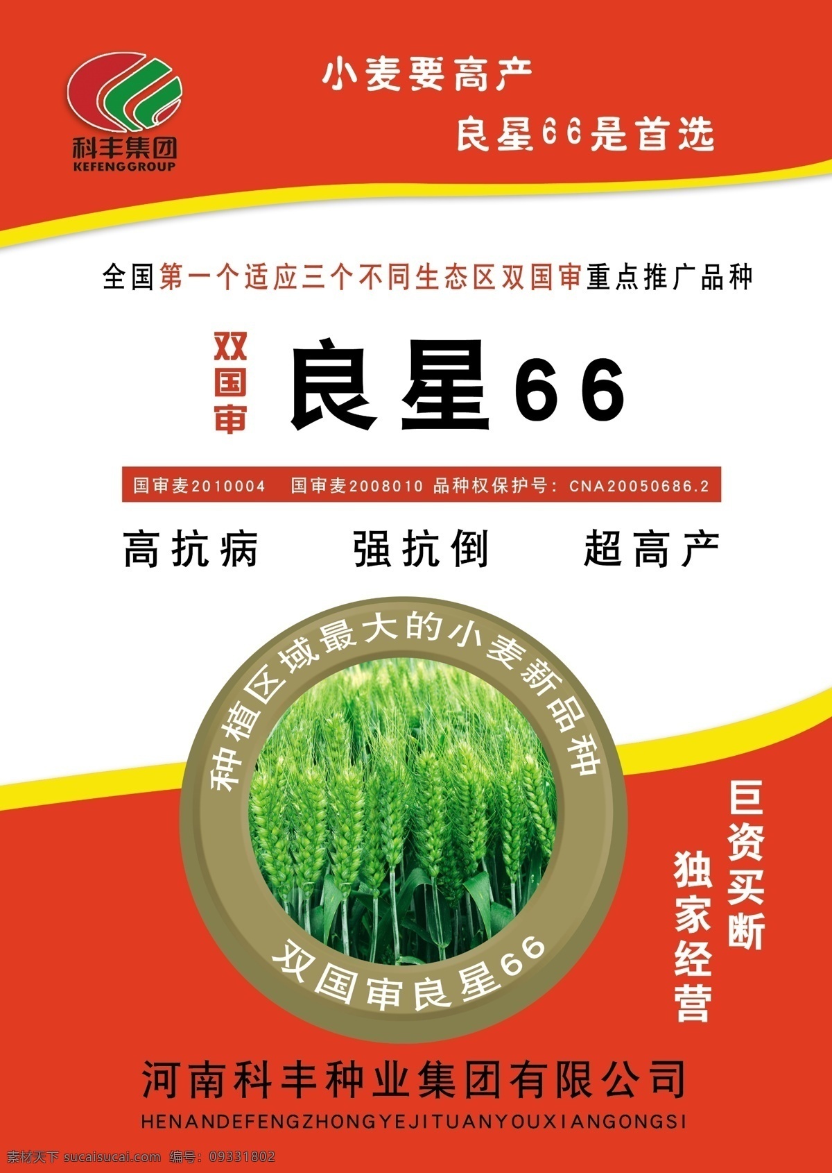 小麦单页 线条 种子海报 科风集团宣传 广告设计模板 源文件