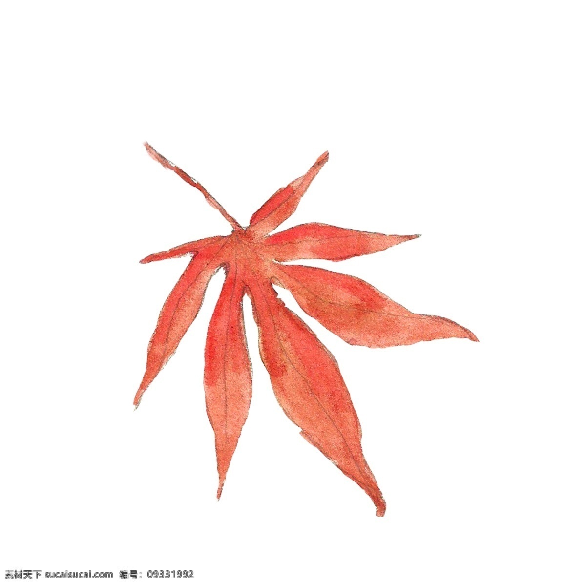 红色 枫叶 源文件 海报设计装饰 飘落 秋日 设计素材 淘宝素材 装饰