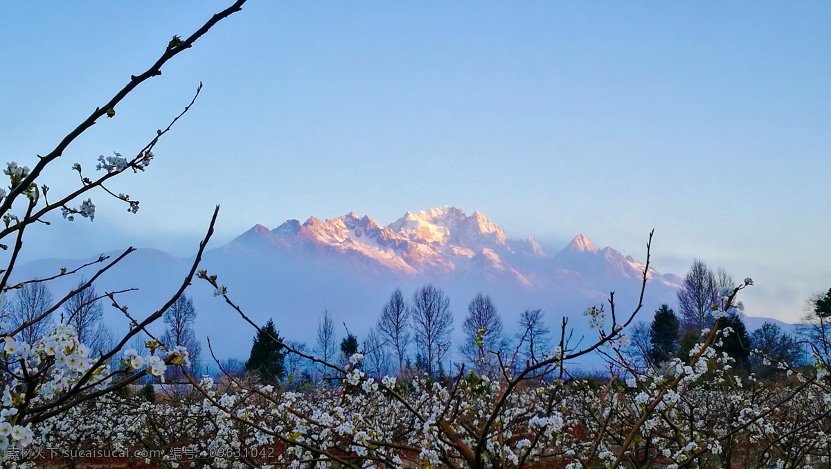 玉龙雪山 雪山 梨花 雪山金光 大雾雪山 雾气 自然景观 自然风景