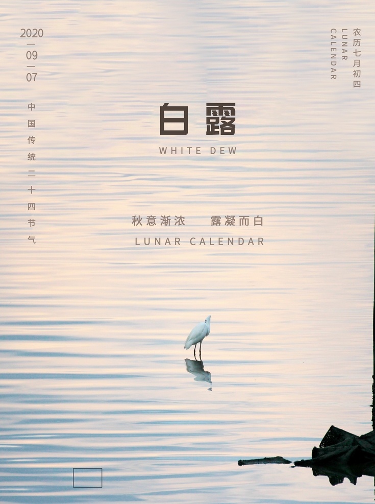 白露海报图片 白露海报 地产 白露地产 龙小湖 绿色 山水 芦苇 热带雨林 白露微信 白露节气 节气海报 白露 秋分 转发图 立秋 夏至 小暑 大暑 刷屏稿 唯美 复古 微信稿 飞机稿 二十四节气 高大上 古色 古香 古韵 秋色 秋韵 房地产 样板房 园林 夜空 夏夜 手绘 油画