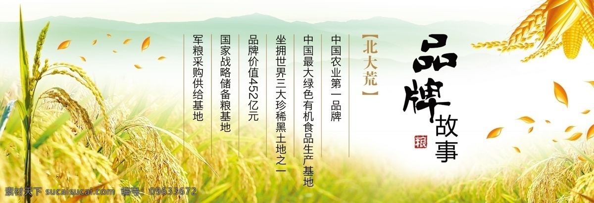 大气海报 产品海报 大米海报 形象广告 大米形象