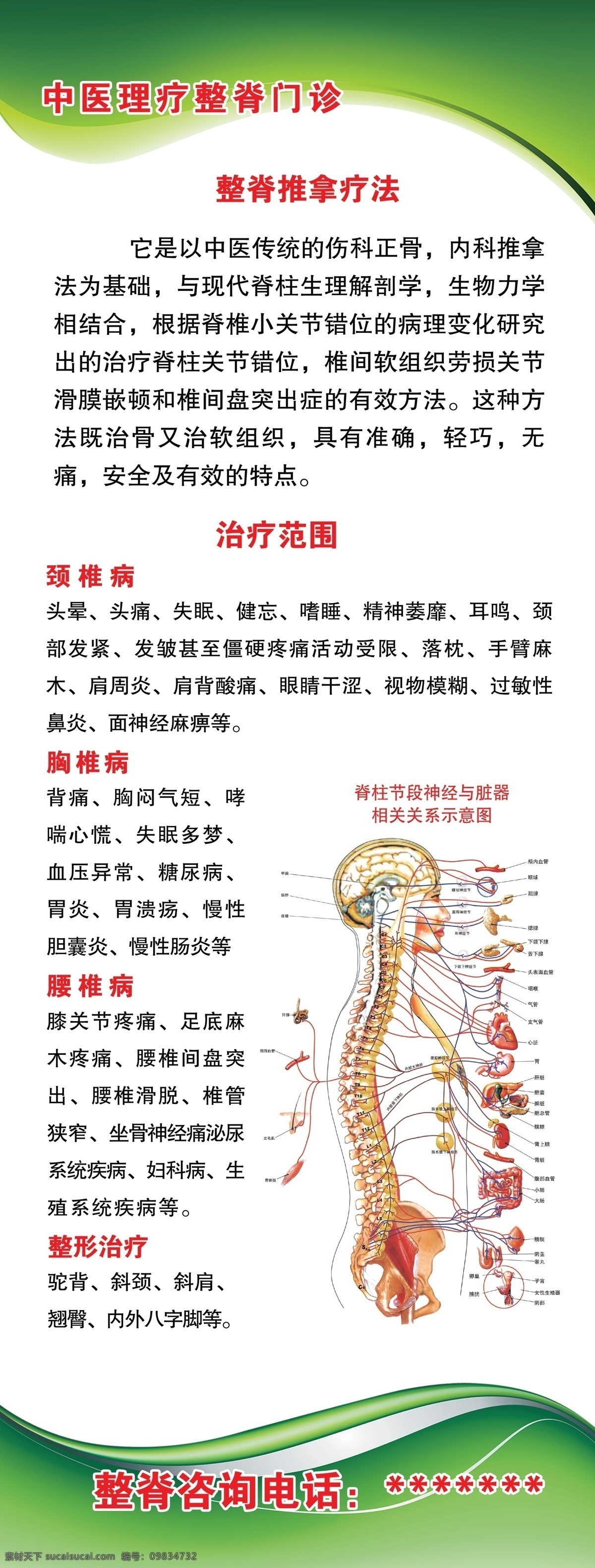 中医理疗 整脊推拿疗法 中医图板 推拿 脊柱图 医院图板