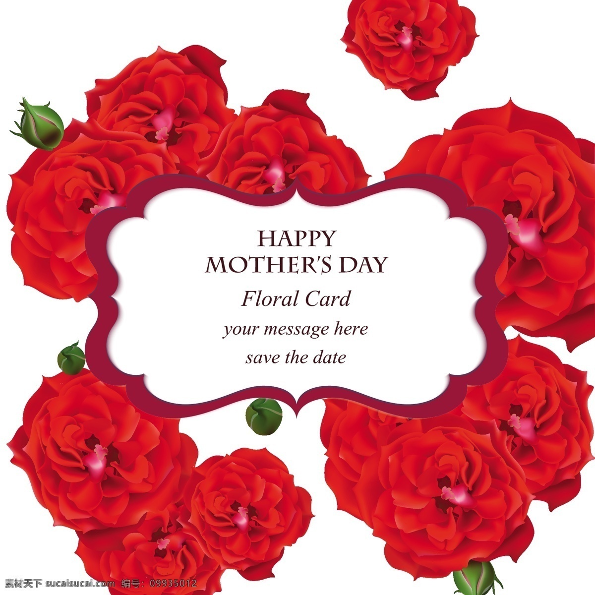 母亲节 背景 花卉 标签 爱情 家庭 庆祝 母亲 花卉标签 父母 日 可爱 问候