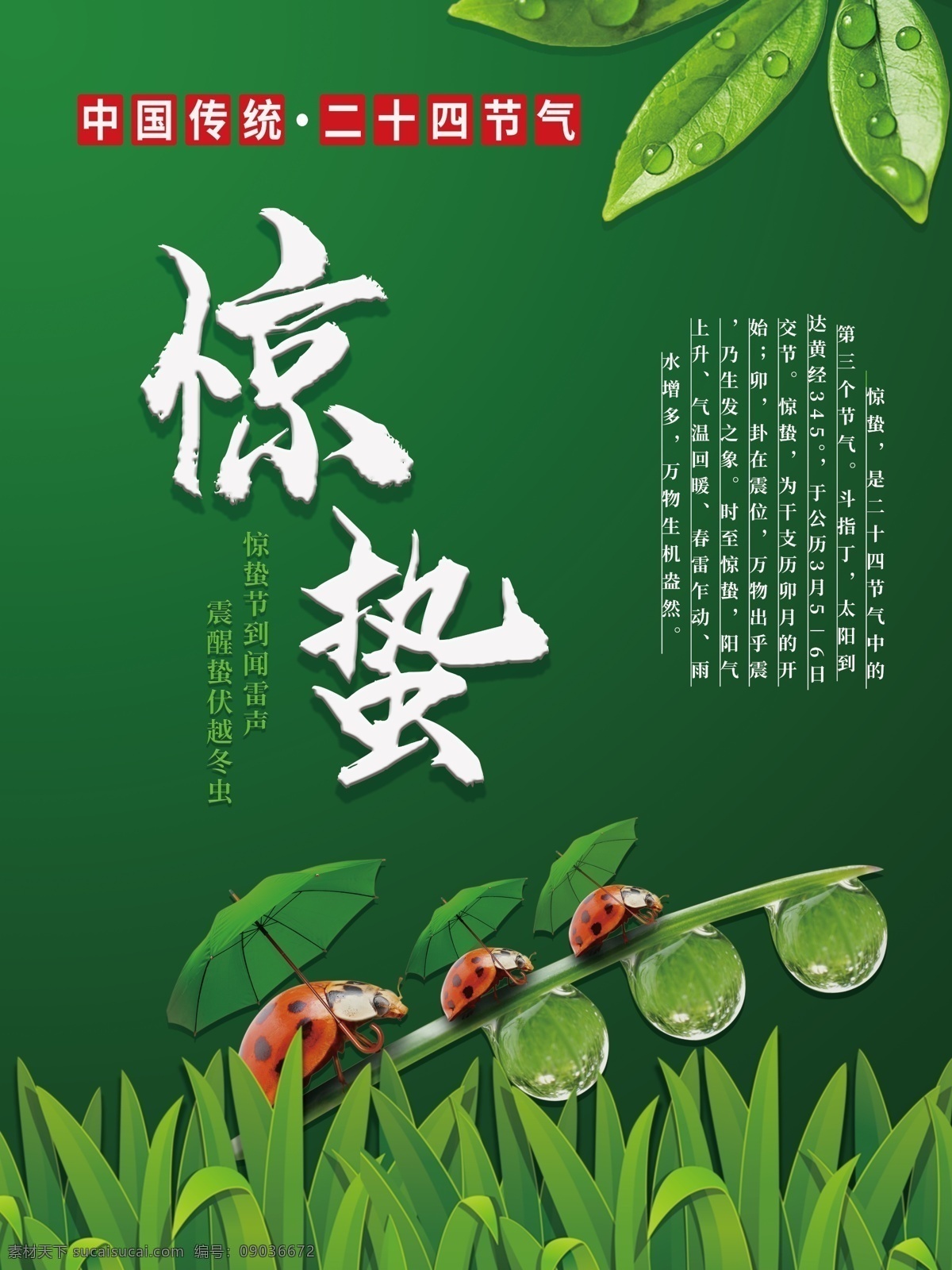二十四节气 惊蛰 海报 广告 中国传统 绿色清新