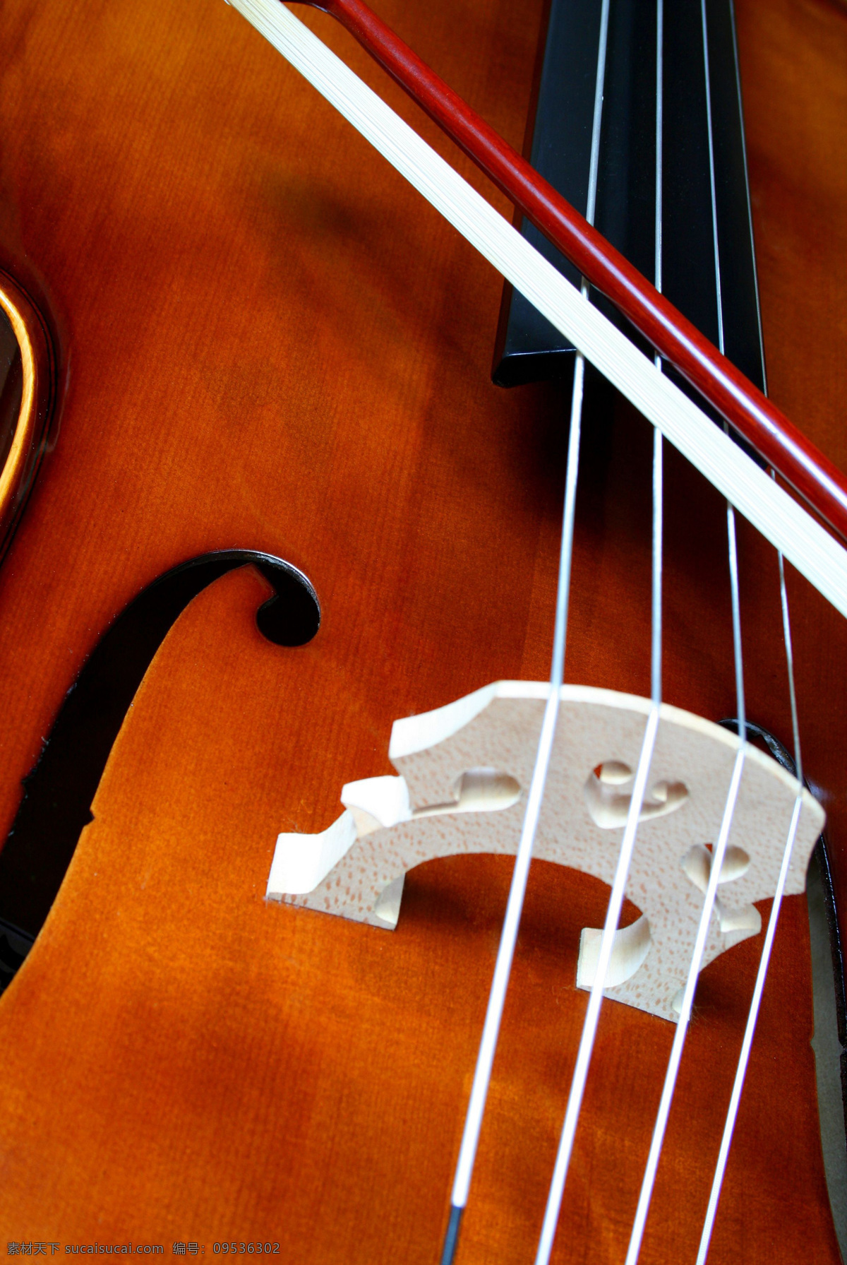 琴弦 音乐 艺术 乐器 弦乐器 小提琴 文化艺术 舞蹈音乐 摄影图库