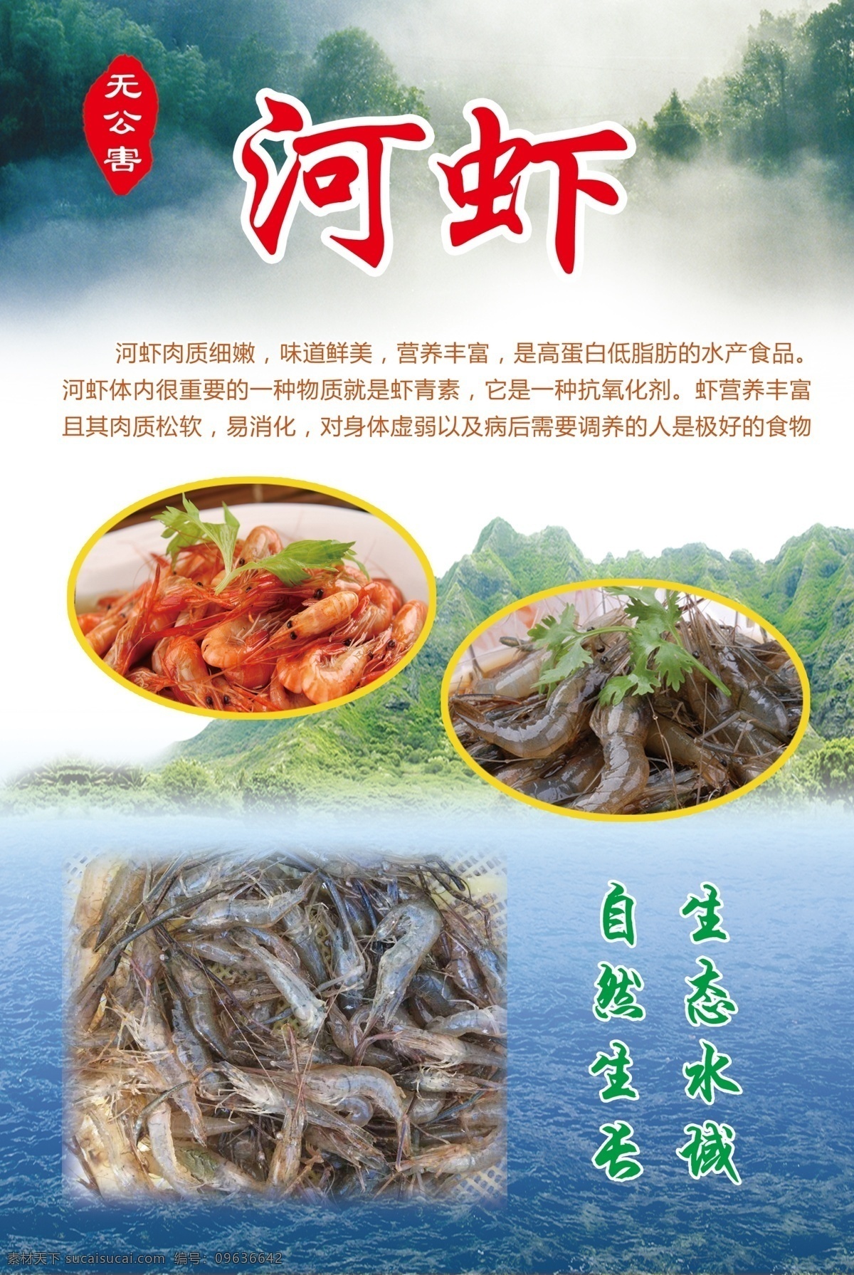 河虾简介 自然生长 生态水域 水煮虾 青虾 文化艺术