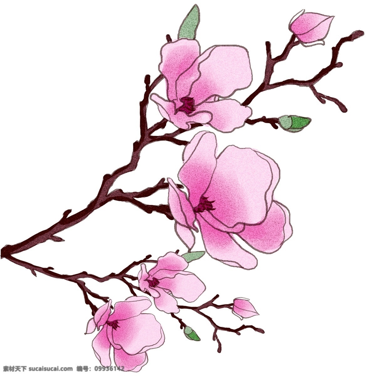 花 鲜花 原创 商用 元素 花朵 可爱 情人节 节日 清新 手绘 板绘 水彩 气质