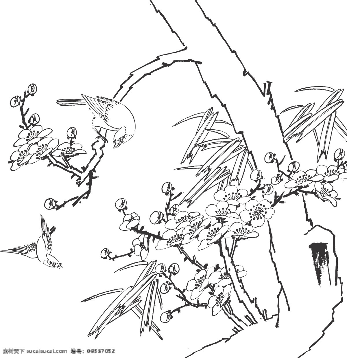 植物 花卉 观赏 鸟儿 装饰 线条 矢量 插画 白描 花鸟白描图 生物世界 鸟类