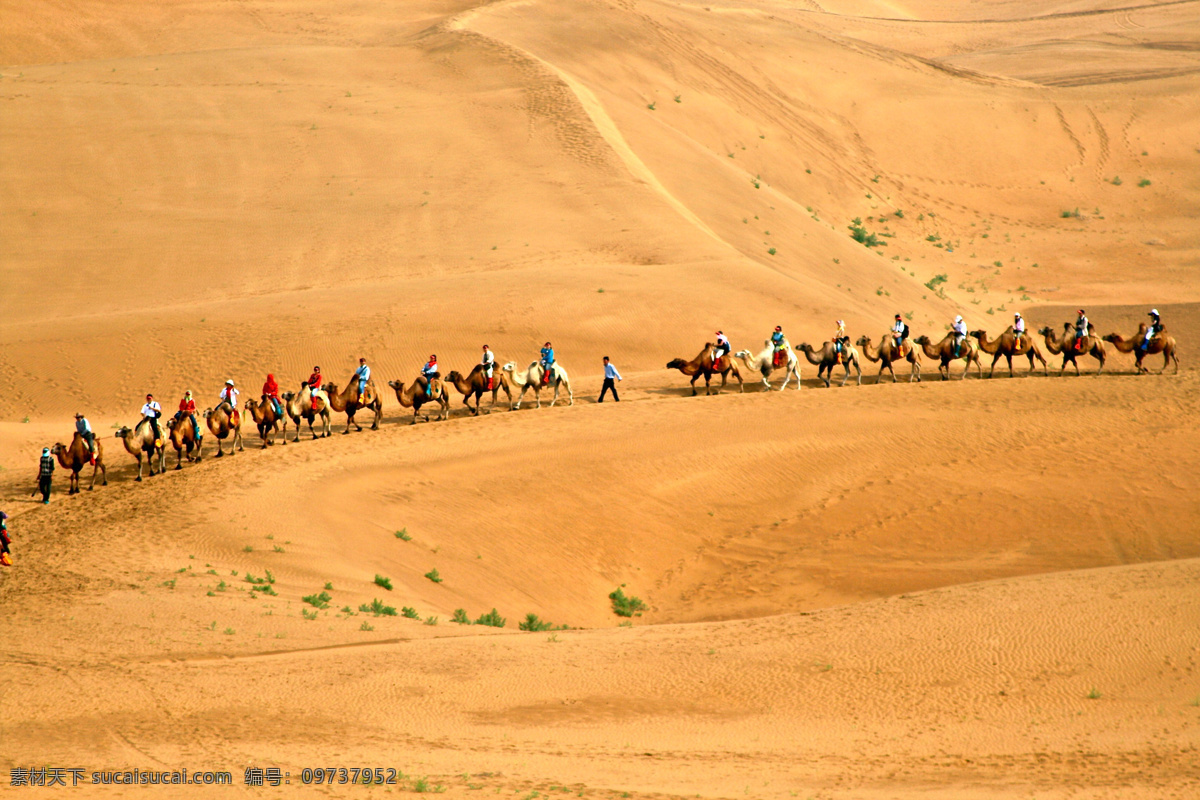 沙漠 中 骆驼 队 内蒙古 响沙湾 旅游 景区 驼队 骑骆驼 金色的沙漠 水 蓝天 白云 沙丘 沙山 沙子 沙坡 沙滩 波纹 纹路 自然 唯美 纯净 空灵 自然风景 旅游摄影 沙漠摄影 自然景观