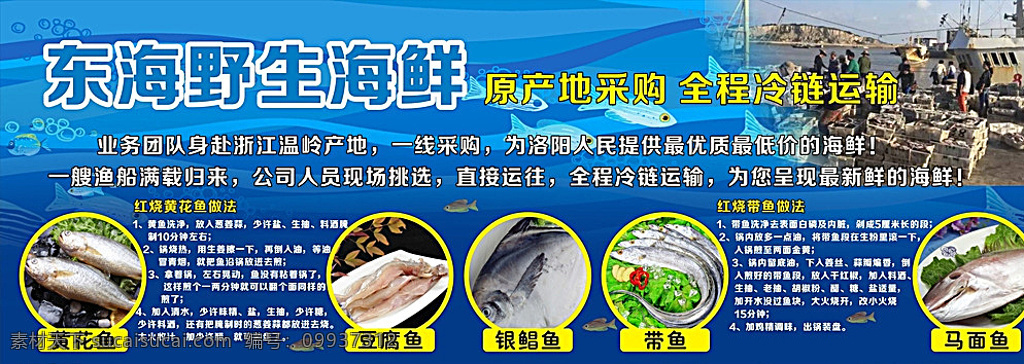 海鲜鱼科展板 东海 黄花鱼 马面鱼 带鱼 银鲳鱼 豆腐鱼 菜谱 移门图案 蓝色