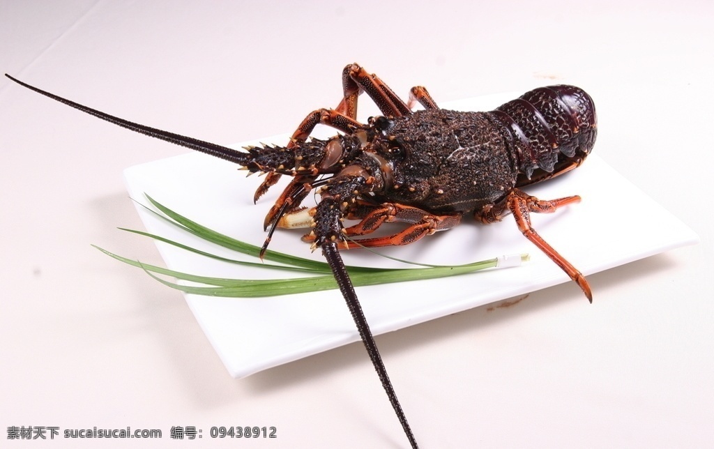 澳洲大龙虾 食材 海鲜 摄影图 菜牌 餐饮美食 食物原料