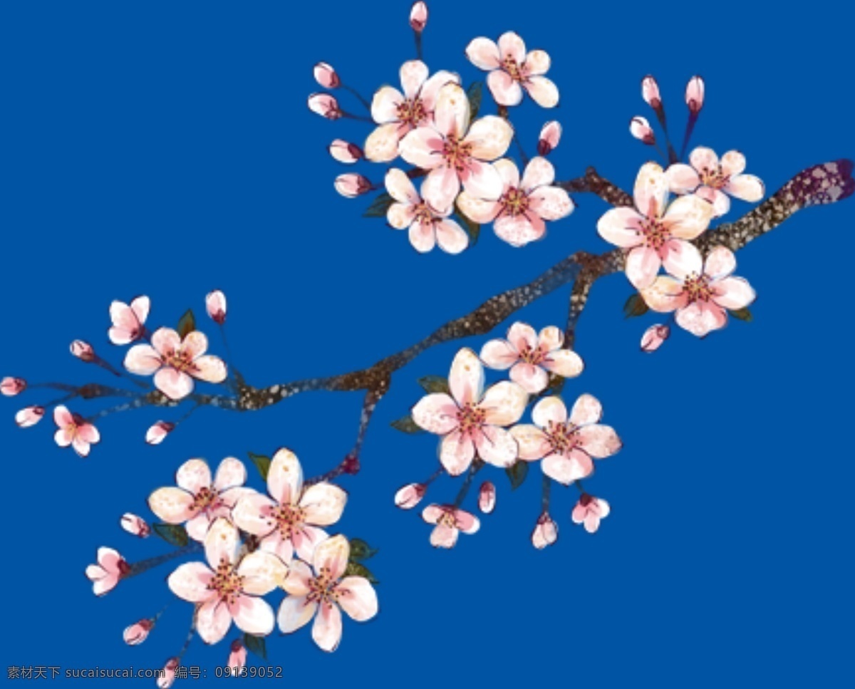 桃花素材 桃花元素 桃花背景 水彩花朵 桃花花瓣 工笔画花朵 桃花林 桃花林背景 桃花封面 桃花摄影 桃花印花 桃花花卉 一束桃花 桃花花朵 桃花油画 十里桃花 花海 矢量桃花 卡通桃花 桃花剪影 桃花工笔画 桃花水彩 水彩桃花 国画桃花 国画花朵 粉色桃花 粉红色桃花 桃花树枝 免抠