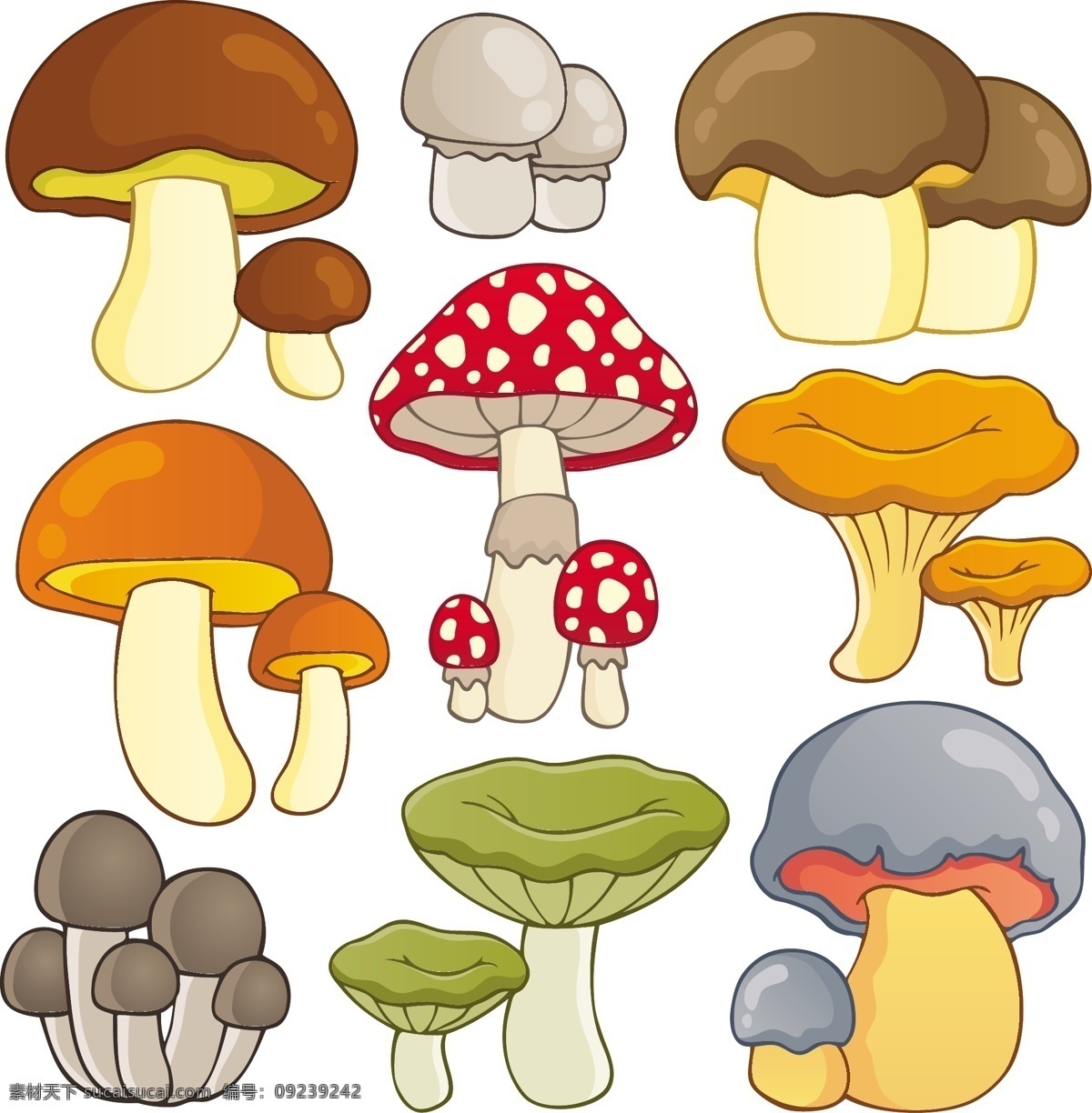 蘑菇 手绘 野生菌 食用菌 香菇 菌类 菇子 菇类 蔬菜 生物世界