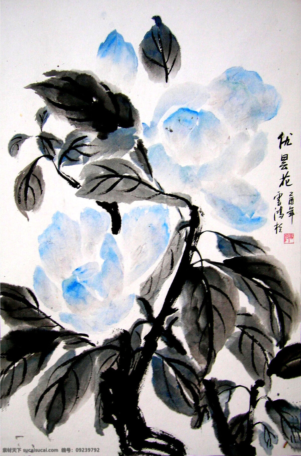 优昙花开 花卉 花朵 水墨画 中国画 国画