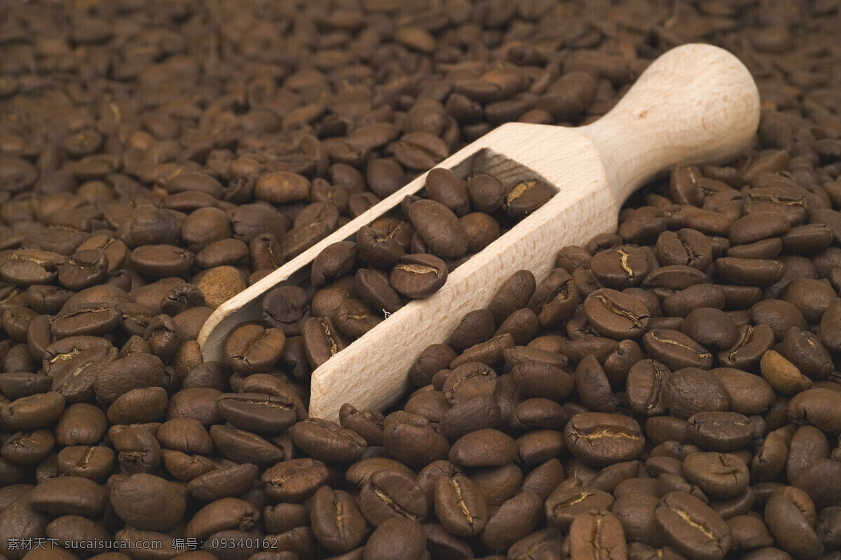 咖啡豆 铲子 咖啡 咖啡文化 coffee 高清图片 咖啡图片 餐饮美食