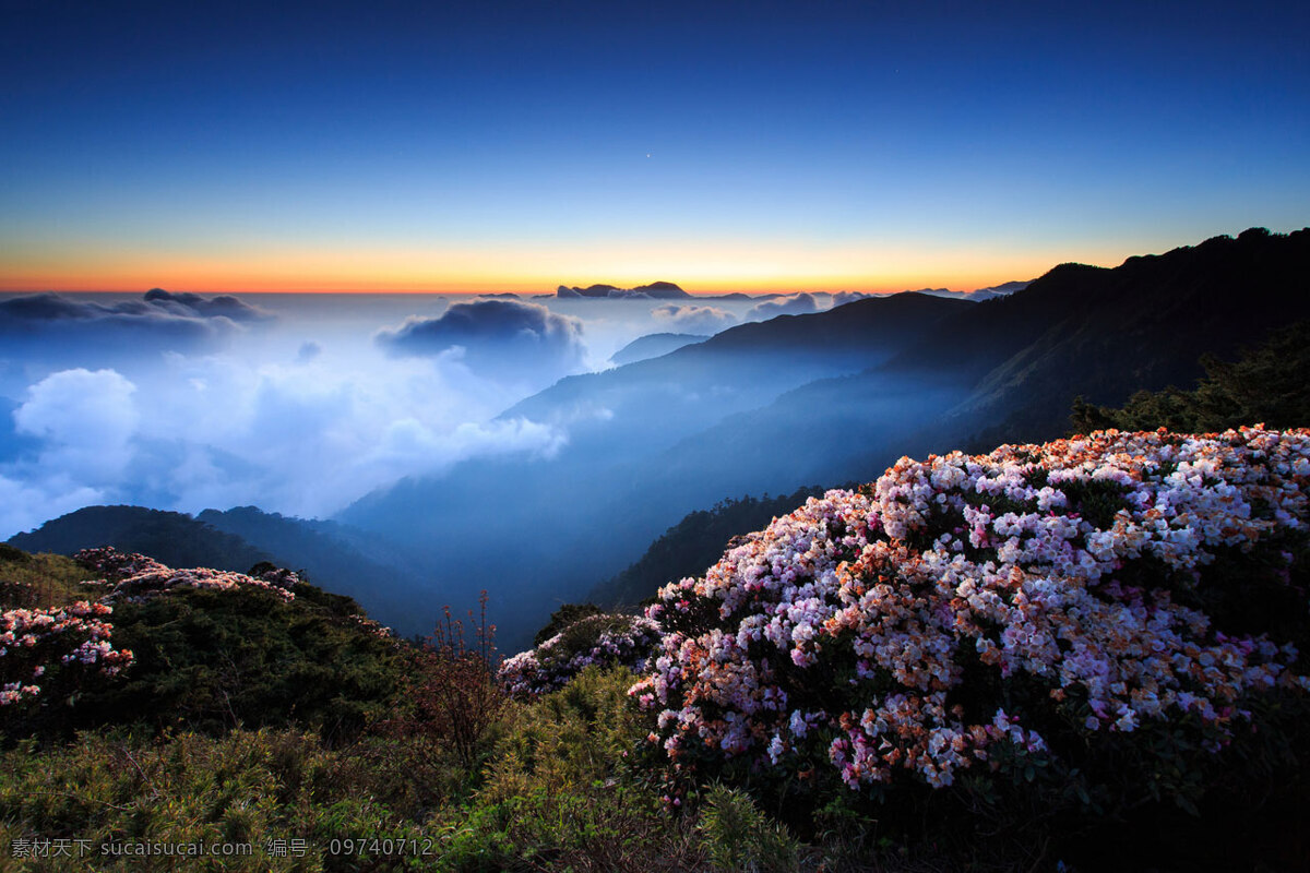 花海 日出 朝霞 高清图片下载 花海日出图片 山间日出 风景 生活 旅游餐饮