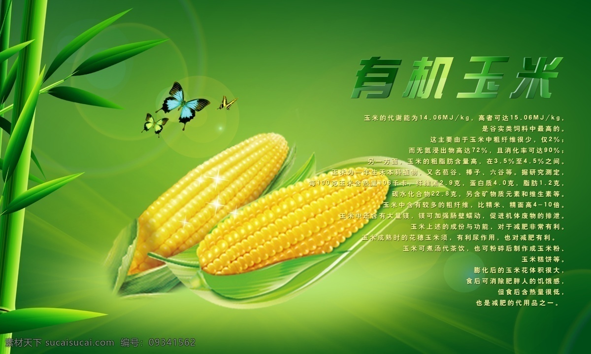 玉米海报 玉米 玉米棒 有机玉米 有机玉米简介 玉米串 玉米苗 玉米粒 玉米根 天空 广告设计模板 分层