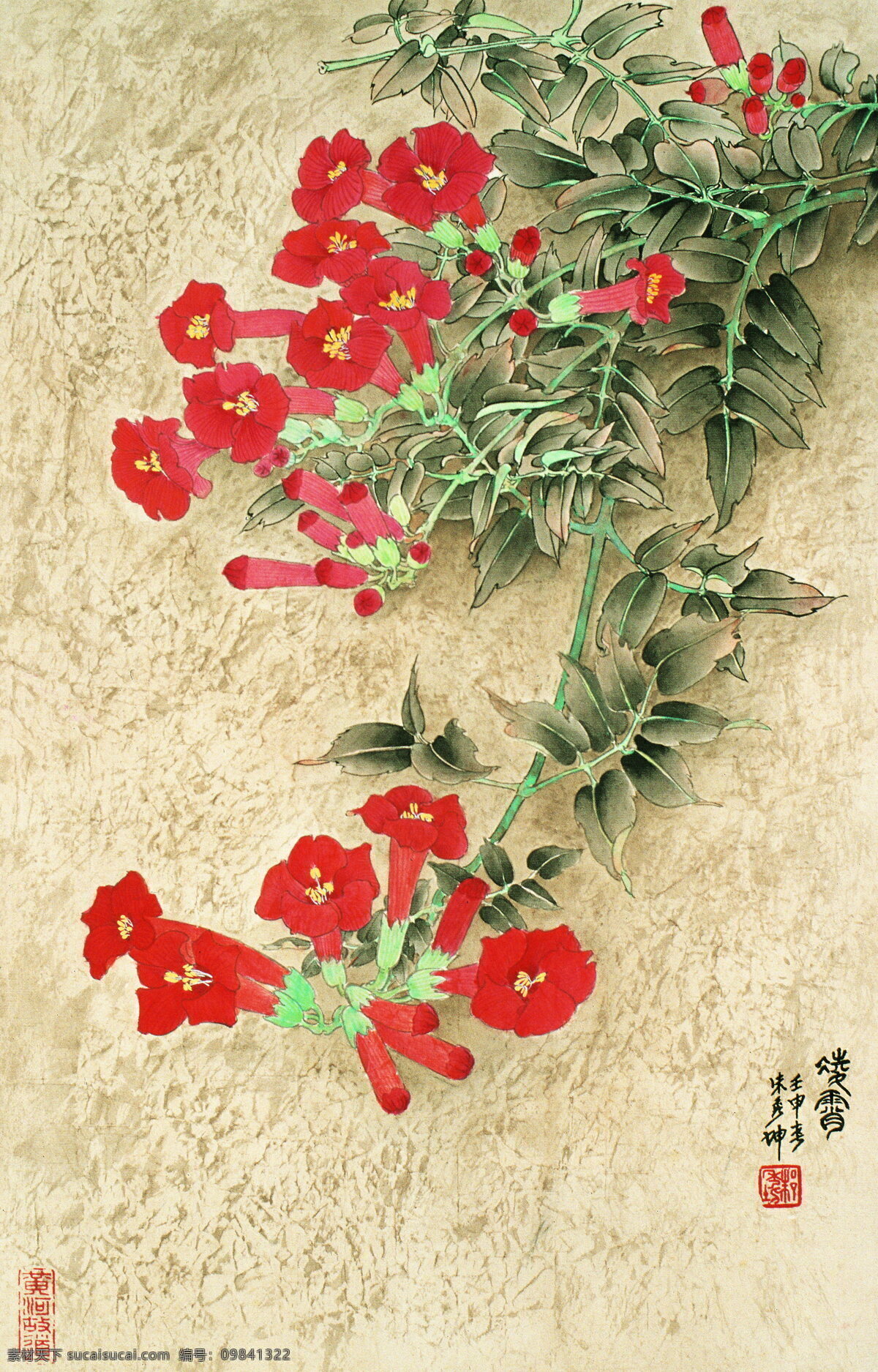 凌霄花 国画 红色花 绘画书法 文化艺术