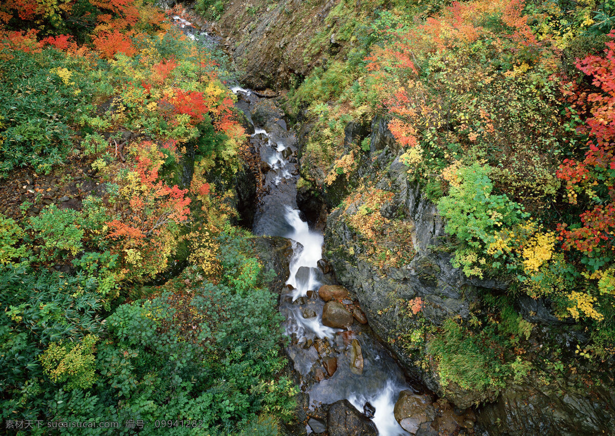 美丽 小溪 美丽风景 自然风景 风景摄影 大自然 美景 景色 山水风景 树林 溪水 风景图片