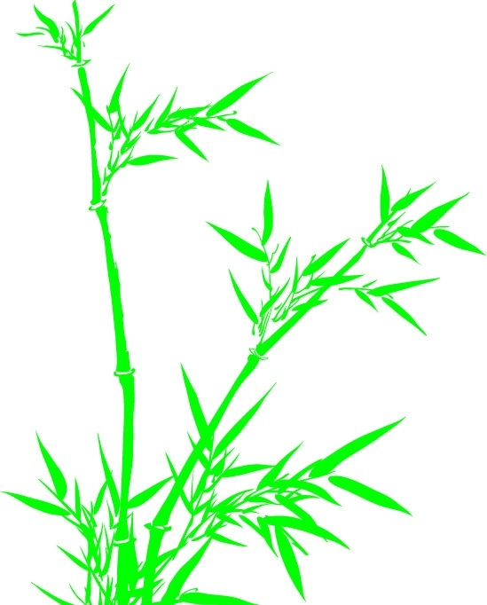竹子 树木 树叶 树木树叶 生物世界 矢量