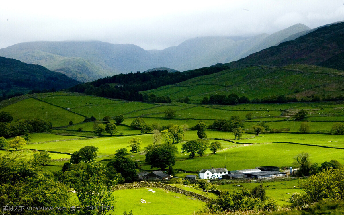 清新 绿色 美丽 田园 田园风光 田园风光图片 风景 生活 旅游餐饮