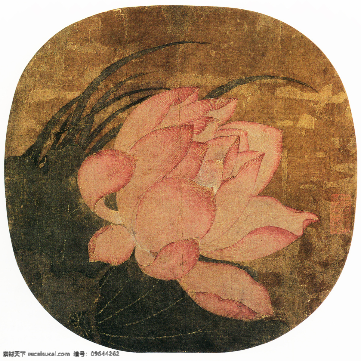 中国 花鸟画 名家作品 团扇 书画 真迹 荷花 图 古画 荷花图 花鸟 脉络 书画真迹 桃红 晕染 中国花鸟画 名家团扇 绢本 设色 近写荷花 工细精致 莲瓣 罩染 金丝细线 钩勒 文化艺术