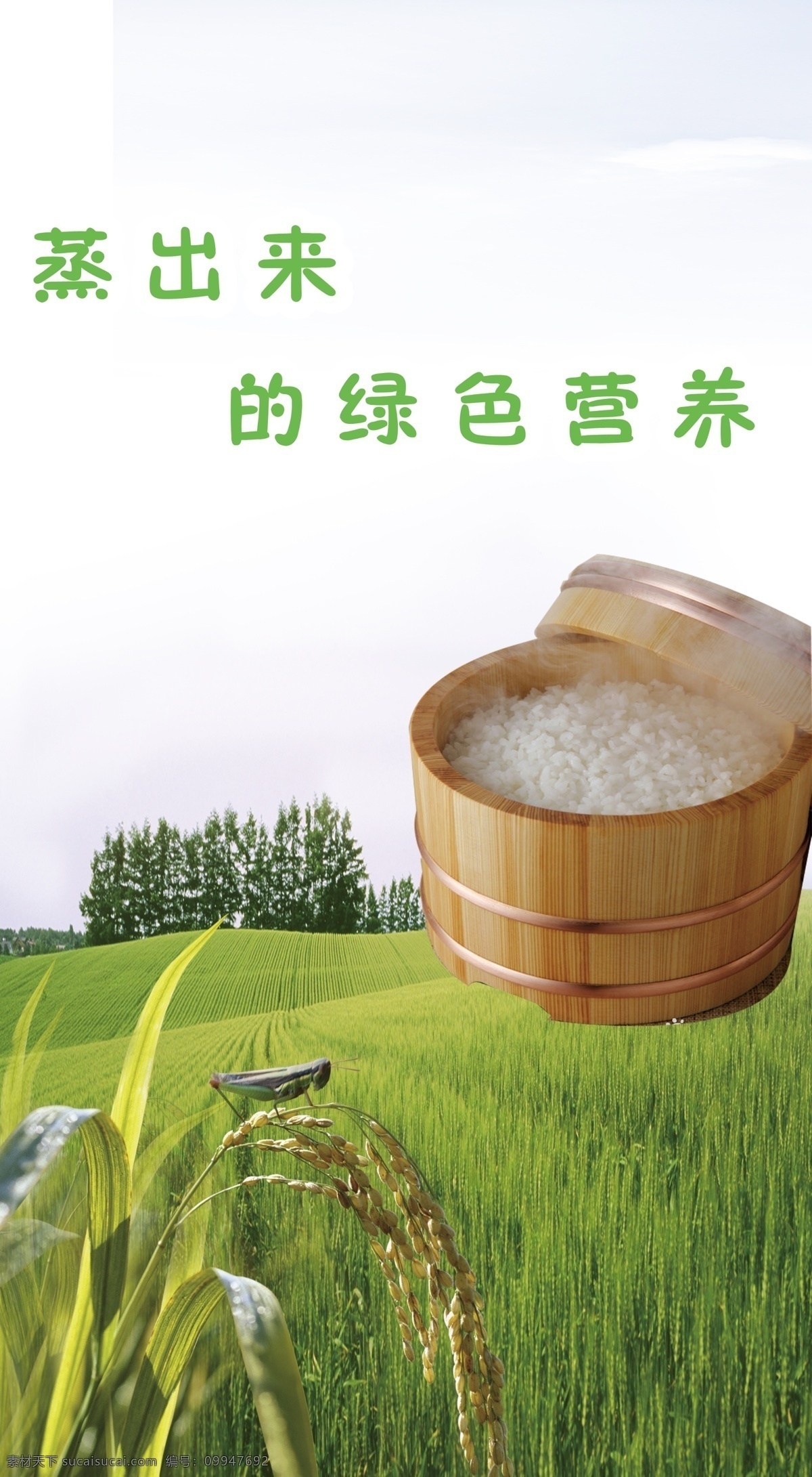 竹筒米饭 草地 绿色营养 竹筒 麦穗 广告设计模板 源文件