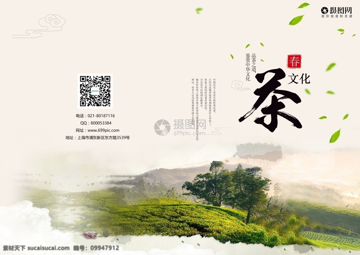 春茶画册封面 春茶 文化 茶 茶文化 茶叶 采茶 画册封面 画册 中国风