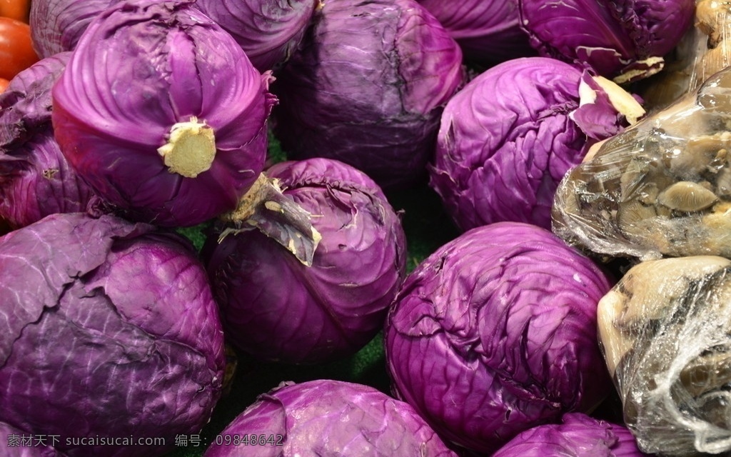 紫甘蓝 蔬菜 红甘蓝 赤甘蓝 紫包菜 十字花科 芸苔属 甘蓝 营养 生物世界