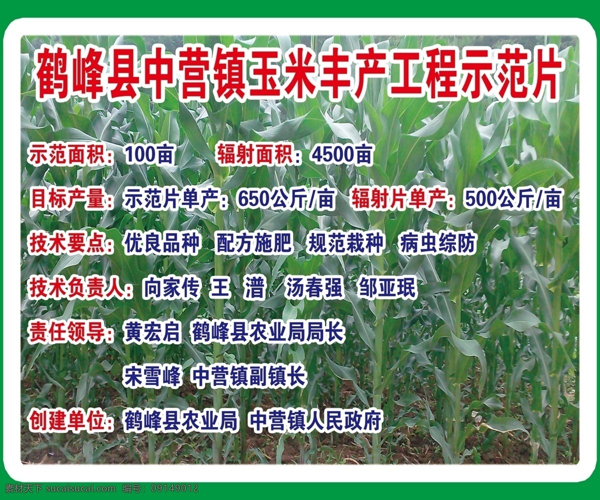 玉米示范片区 北佳斌斌 杨泽鄂 玉米背景 玉米田 玉米 农业示范区 玉米丰产工程 玉米丰产示范 农业局 种子站 玉米试验田 玉米实验田
