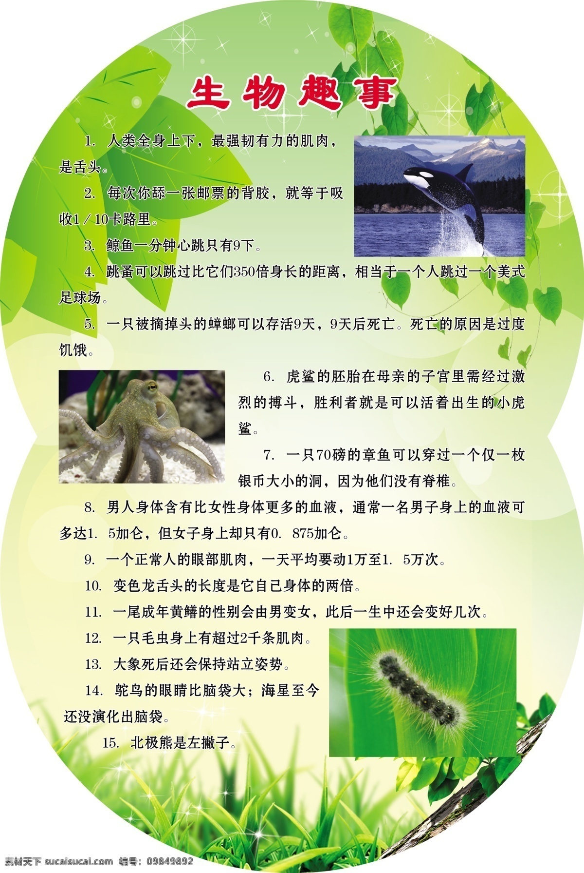 大象 广告设计模板 生物展板 学校文化 异形 源文件 展板模板 章鱼 生物 展板 模板下载 趣味生物 初中生物 生物实验室 动物趣事 毛虫 蟑螂 其他展板设计
