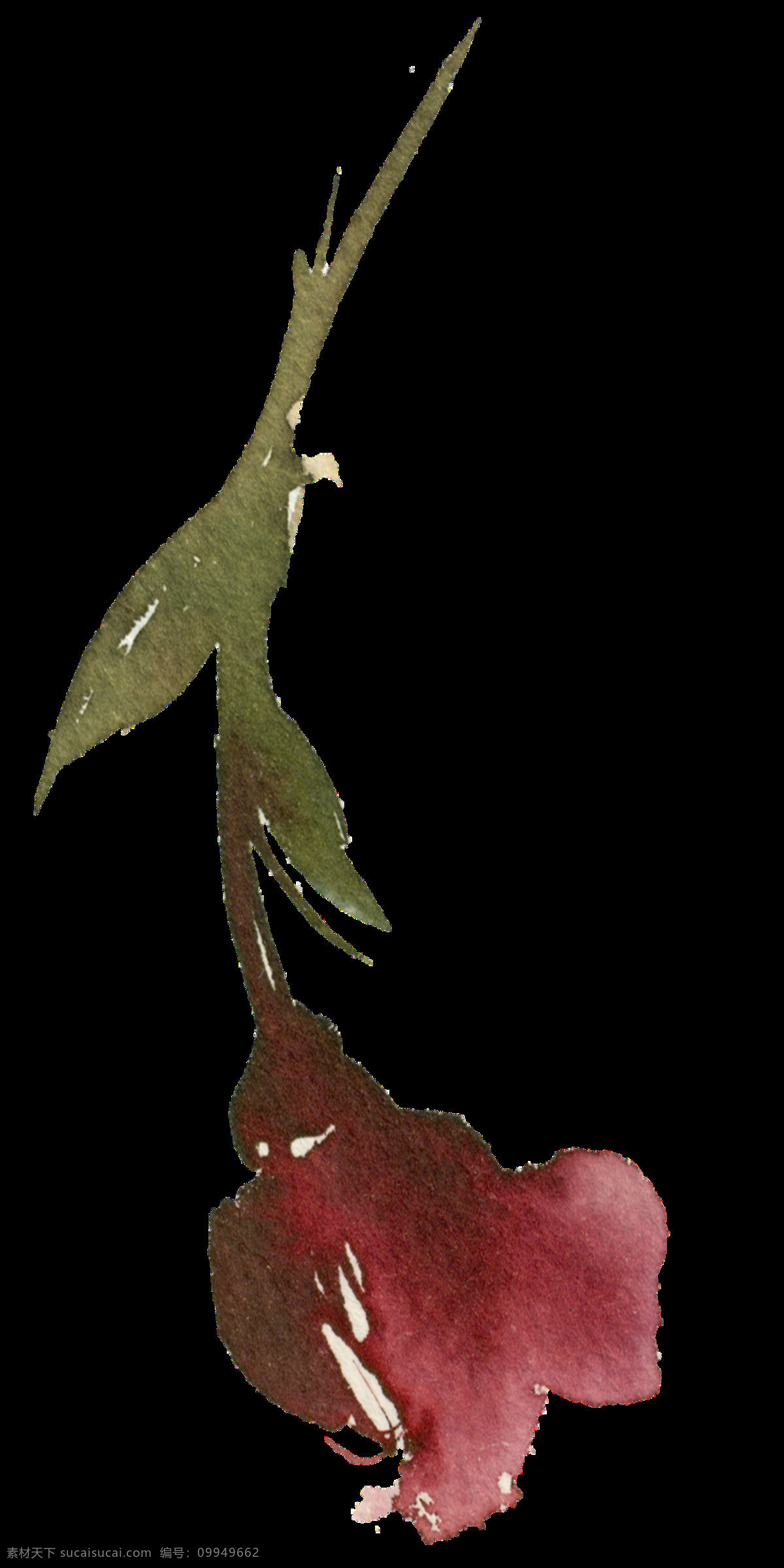 手绘 深 红色 玫瑰花 透明 花梗 绿色 免扣素材 水彩 透明素材 渲染 装饰图案