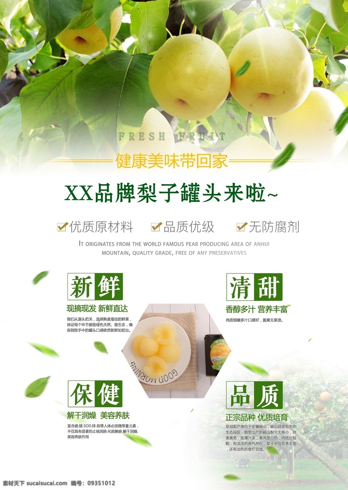 梨子 罐头 美食 海报 梨子罐头 砀山梨 皇冠梨 梨子海报 水果
