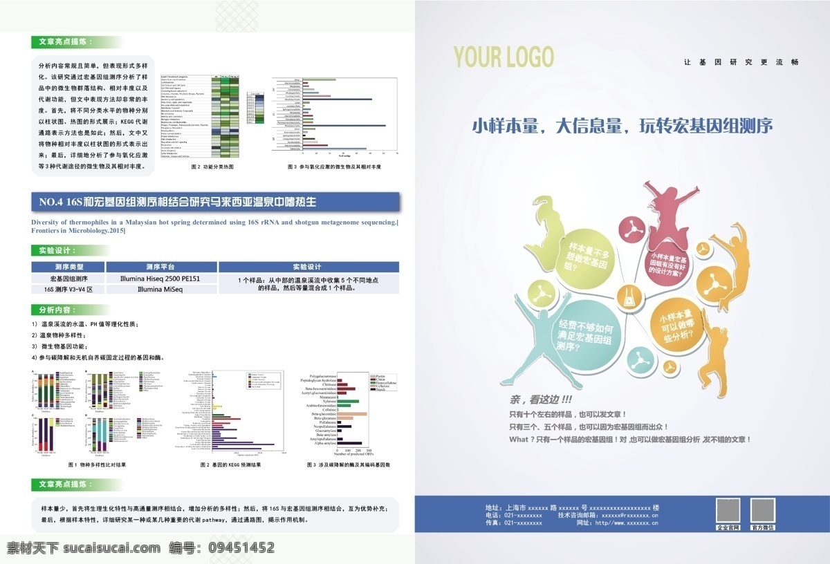 基因 dna 折页 基因组折页 基因dna 基因折页 dna折页 基因组测序 dm宣传单