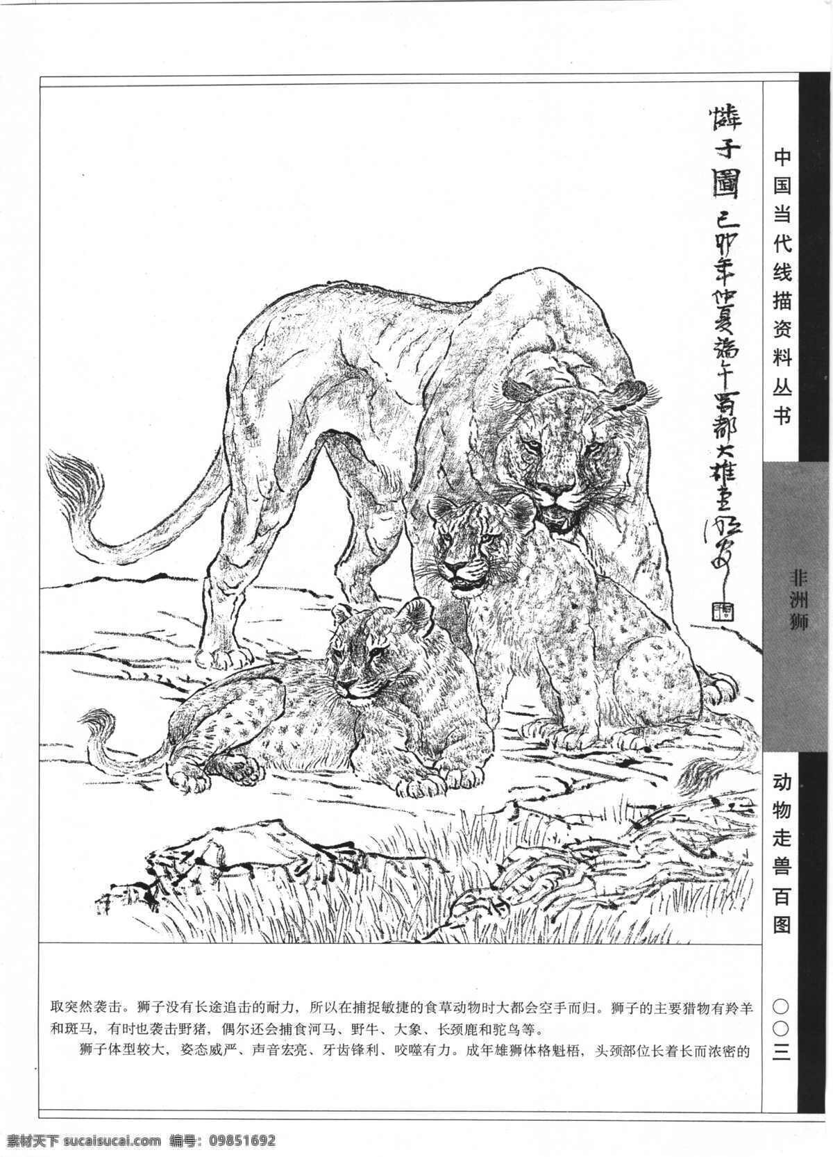 动物走兽百图 狮 动物 走兽 百兽 线描 白描 黑白稿 线描动物 老虎 狮子 豹 象 百 图 线 描图 绘画书法 文化艺术