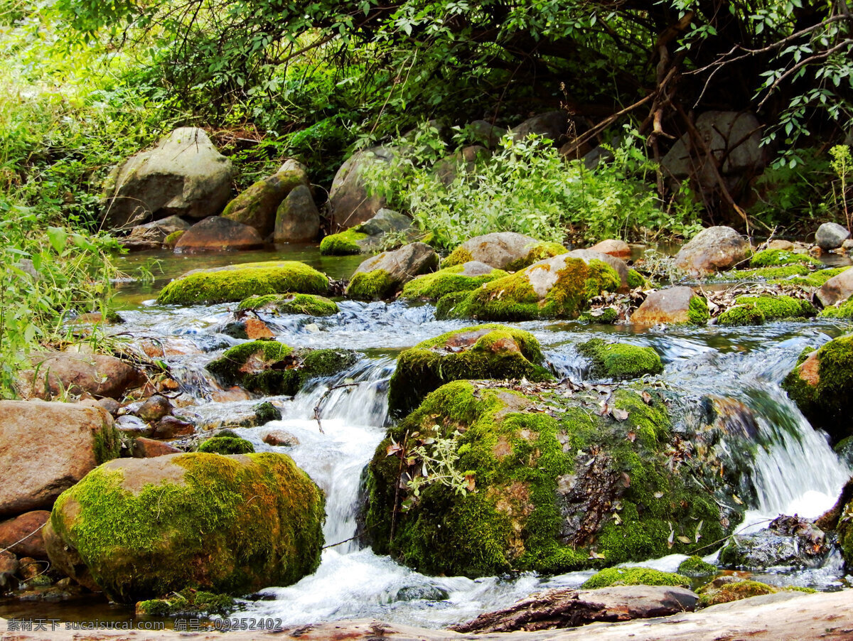 小溪流水 溪流 流水 水流 小溪 玉渡山风景 石头 十块 青苔 自然风景 风光图 自然景观