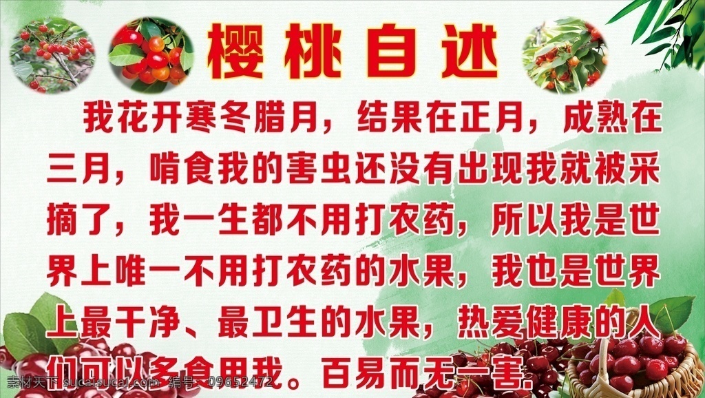 樱桃园路边牌 樱桃 樱桃园牌子 樱桃园立牌 樱桃园宣传牌