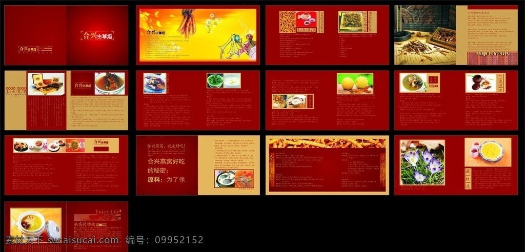 滋补品画册 高档 雅致 滋补品 燕窝 藏红花 宣传册 画册设计 矢量