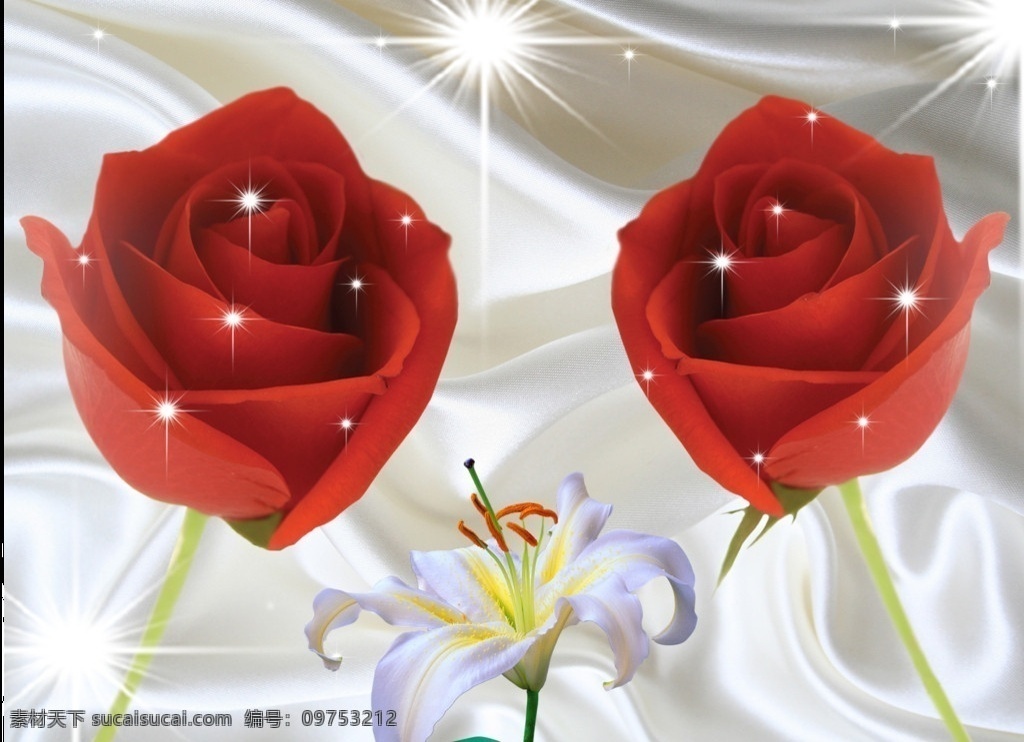 玫瑰花 两朵玫瑰花 闪闪 发光 星星 百合花 优美的底图 分层 源文件