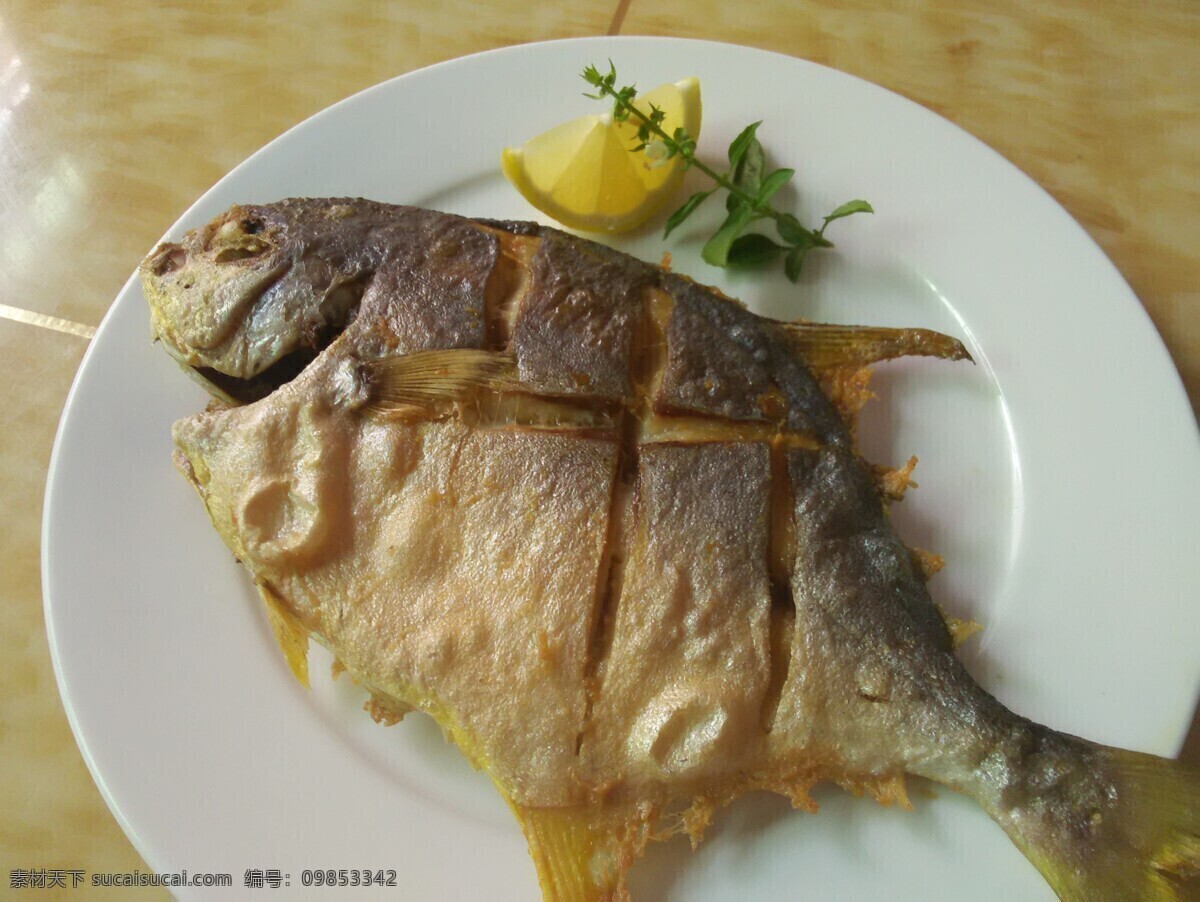 香煎金昌鱼 金昌鱼 鱼 煎鱼 煎金昌鱼 烤鱼 餐饮美食