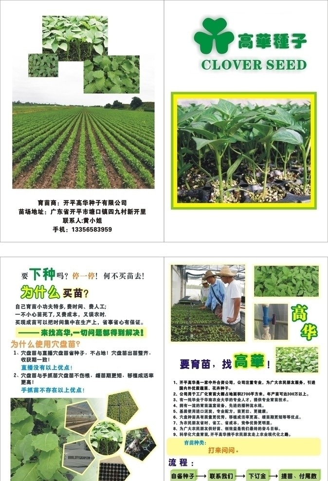 种子苗 育苗 买苗 种苗 细苗 宣传单 dm宣传单 矢量