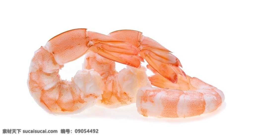 新鲜虾仁 虾仁 海鲜 烤虾 烤虾仁 白灼虾仁 红虾仁 熟虾仁 夹起虾仁 虾仁特写 餐饮美食 传统美食