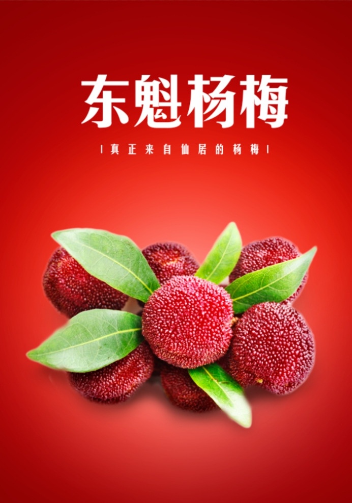 杨梅海报 杨梅原汁 杨梅饮料 杨梅采摘 杨梅果汁 杨梅图片 树梅 杨梅招牌 杨梅不干胶 杨梅酒 杨梅装饰画 杨梅标签 杨梅包装 新鲜杨梅 杨梅基地 杨梅批发 杨梅团购 杨梅促销 杨梅文化 浙江杨梅 杨梅营养 杨梅展板 杨梅展架 杨梅汁 杨梅树 杨梅醋饮 杨梅包装盒 杨梅画册