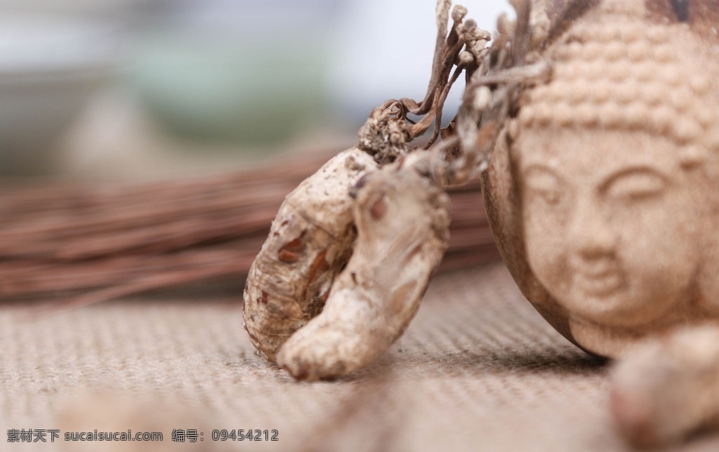 金蝉花 虫草 蝉花 蝉花虫草 泛亚医药 其他生物 生物世界 农特 餐饮美食 食物原料