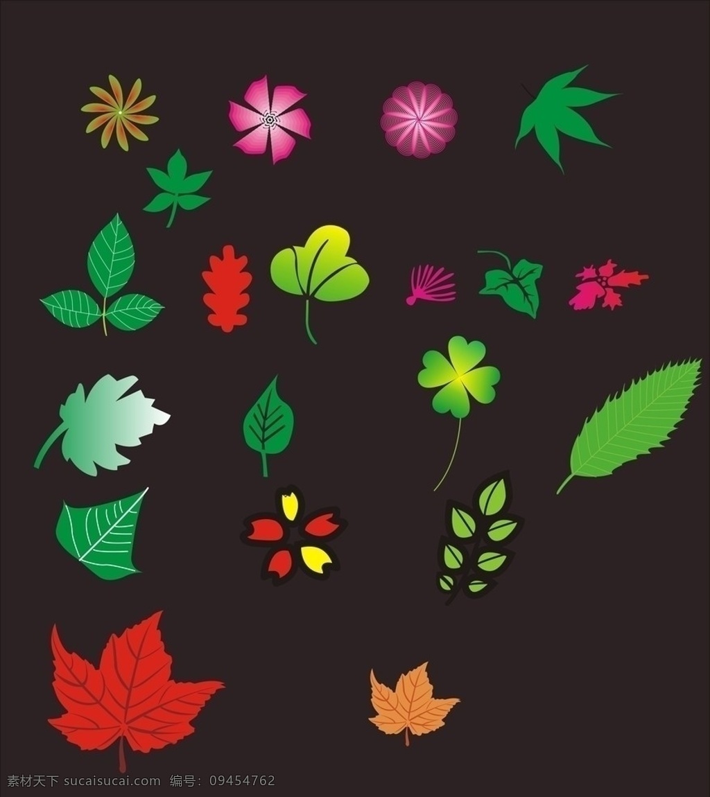叶子 枫叶 花边 色彩缤纷 绿叶 20种 渐变 四叶草 发光 树木树叶 生物世界 矢量