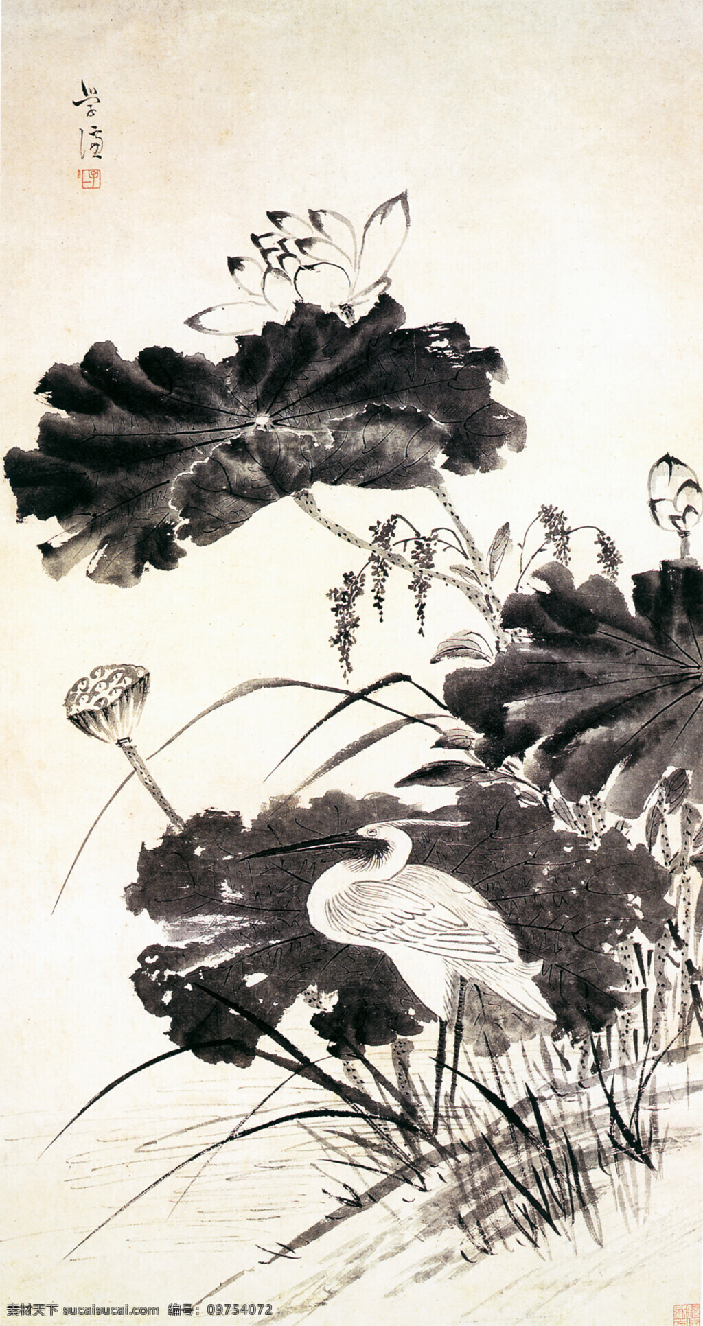 墨荷 绘画书法 文化艺术