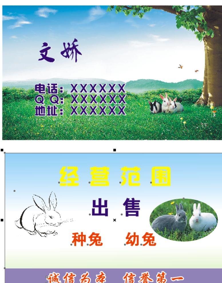 名片 卖兔子名片 卡片 出售兔子名片 兔子名片 名片卡片
