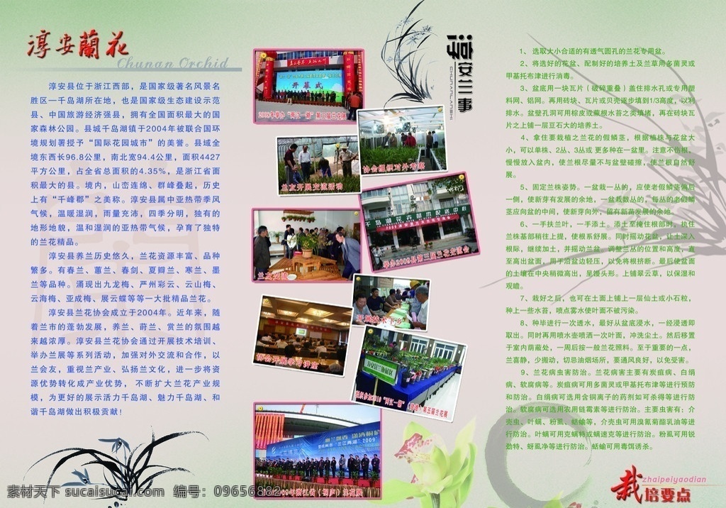 兰花 三 折页 反面 三折页 兰事 淳安兰花 简介 栽培技术 水墨兰花 分层 源文件